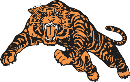 Princeton Tigers 1964-1983 Primary Logo DIY iron on transfer (heat transfer)